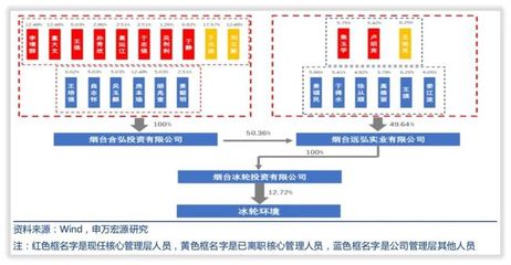 冰轮环境是一家什么样的公司?